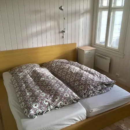Feriehus Sentrumsnaer Og Sjarmerende Bolig Til Leie I